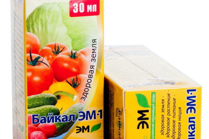 Битие мое